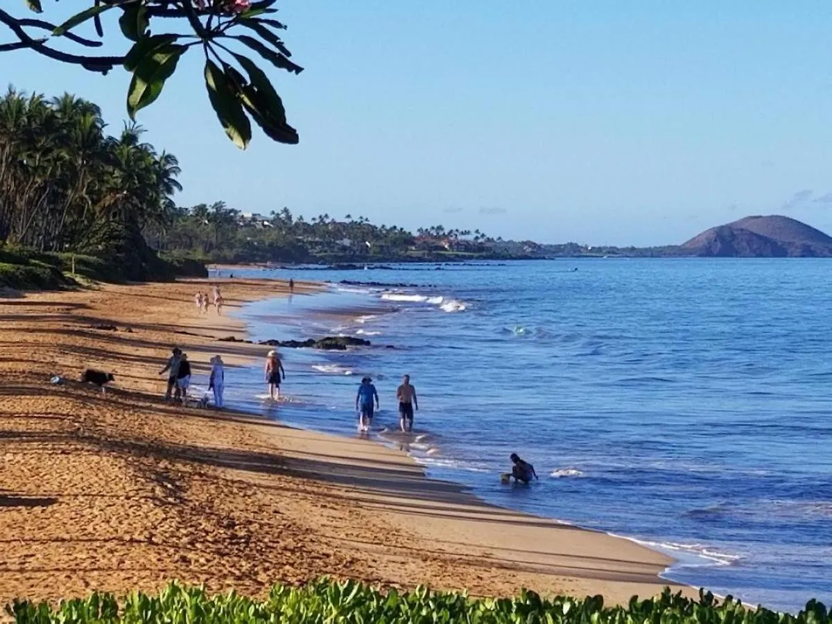 Hale Kamaole 344 Villa Wailea  United States